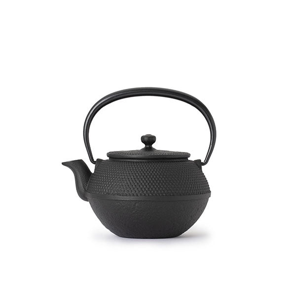 Oigen Casting Nambu Iron Teapot - Maromi Arare