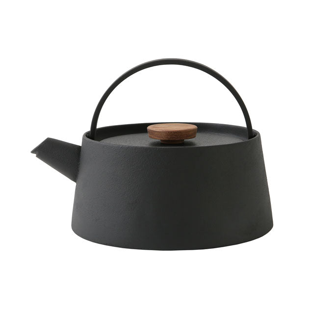 Nambu Ikenaga tetu Iron Kettle